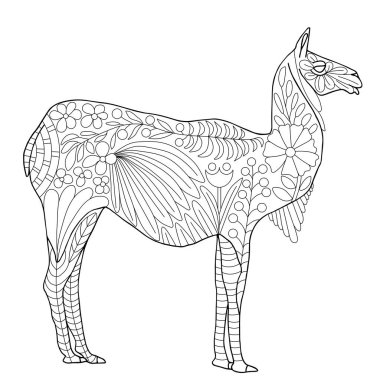 Çocuklar ve yetişkinler için Guanaco zentangle boyama sayfası çizimi