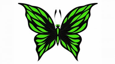 Çoklu renkli kelebek üst görünümü renk videosunu değiştirir