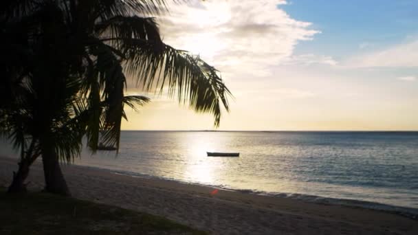 沙滩俯瞰温暖的黄色日落和平静的大海 离海岸不远的地方 两艘船在没有人的情况下漂浮 在岸边有一棵棕榈树 里面有椰子 — 图库视频影像