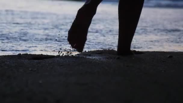 Gros Plan Des Jambes Des Femmes Marchant Long Sable Côté — Video