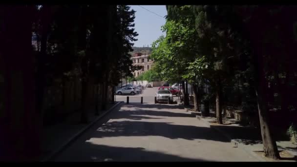 Tbilisi Georgië Juni 2018 Steegje Met Groene Bomen Aan Beide — Stockvideo