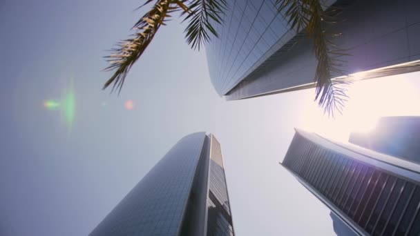 Vista Panorâmica Dos Arranha Céus Abu Dhabi Através Das Folhas — Vídeo de Stock