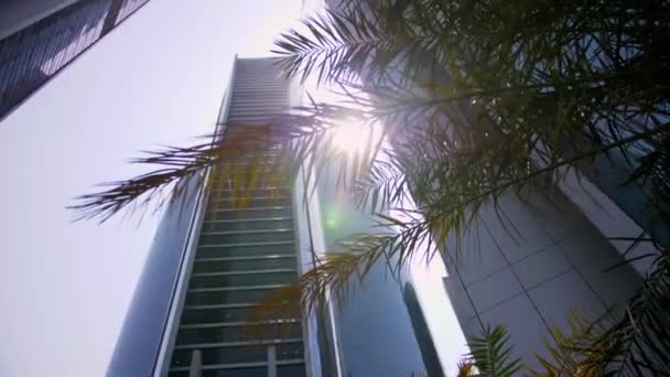 아부다비의 빌딩에서 야자수 여름날의 상향식 태양은 건물의 모퉁이에서 나온다 — 비디오