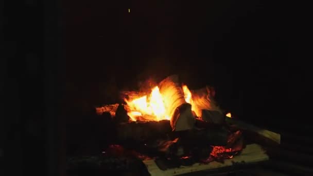 Eine Nahaufnahme Aus Hölzernen Birkenstämmen Die Einem Feuer Brennen Aus — Stockvideo