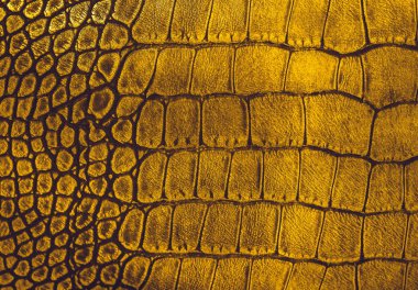 Yılan derisi. Sürüngen dokusunu kapat.