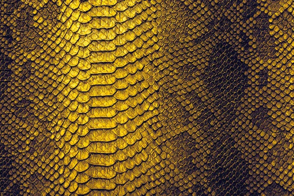 Slangenhuid achtergrond. Close-up reptiel textuur. — Stockfoto