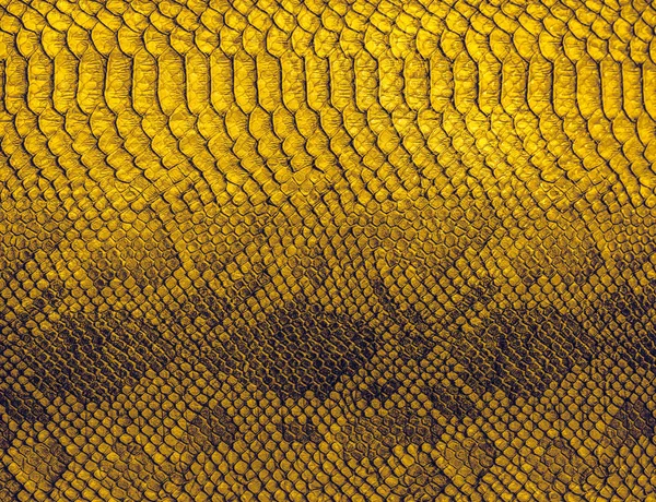 Fondo de piel de serpiente. Cerca de textura de reptil. — Foto de Stock