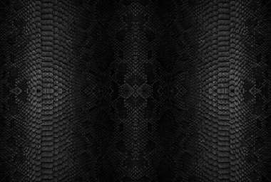 Yılan arka plan cilt. Kopya alanı ile panoramik web banner.