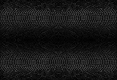 Yılan arka plan cilt. Kopya alanı ile panoramik web banner.