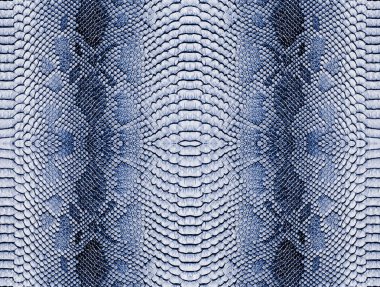 Yılan arka plan cilt. Kopya alanı ile panoramik web banner.