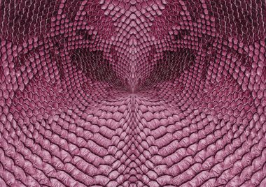 Yılan derisi arka plan. Kopyalama alanı ile panoramik afiş.