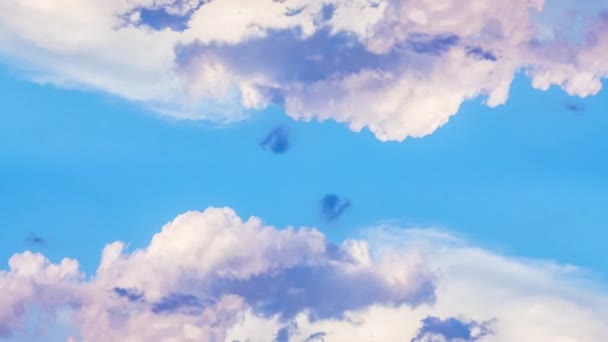 Moln tidsfördröjning, bygga rörelse moln med blå himmel. Puffy fluffiga vita moln blå himmel tidsfördröjning flytta moln bakgrund blå moln himmel tidsförlopp moln Cloudscape tid förfaller molnigt. 4K — Stockvideo