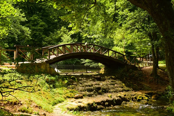 Pont romantique en bois sur un petit étang . — Photo