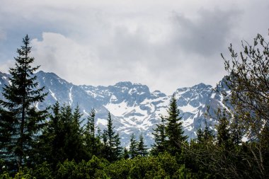 Orman vadisinden dağlar görünümü