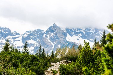 Kayanın kar kısmı ile Beskidy dağlar