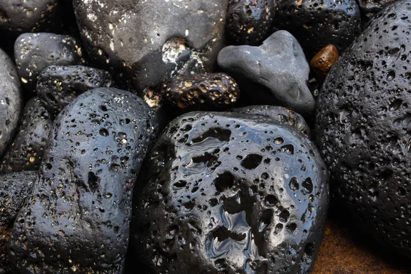 Wet black volcanic stones on the shore - Image