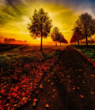 Fine art colorful scenic glorious autumn sunrise on an alley with a dramatic sky and a cycle path with leaves - seasonal impression in fantasy surrealistic painting style,alley towards the golden sun clipart