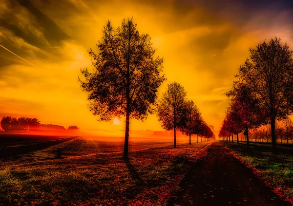 Colorful Golden Red Glorious Autumn Sunrise Path Alley Horizon Rural — Stock Photo, Image