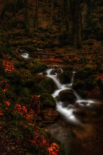 Farbe Freien Langzeitbelichtung Eines Kleinen Baches Baches Einem Dunklen Wald — Stockfoto