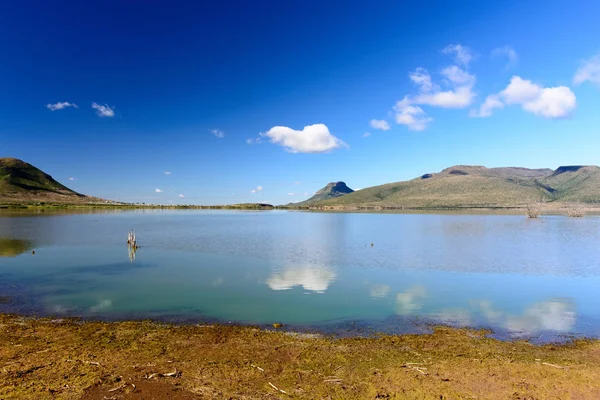 Göl Reed Yansıtan Bulutlar Camdeboo Ulusal Park Karoo Güney Afrika — Stok fotoğraf