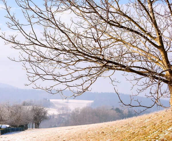 Живописный Колорит Открытом Воздухе Идиллический Пейзаж Изображения Холмистой Заснеженной Сельской — стоковое фото
