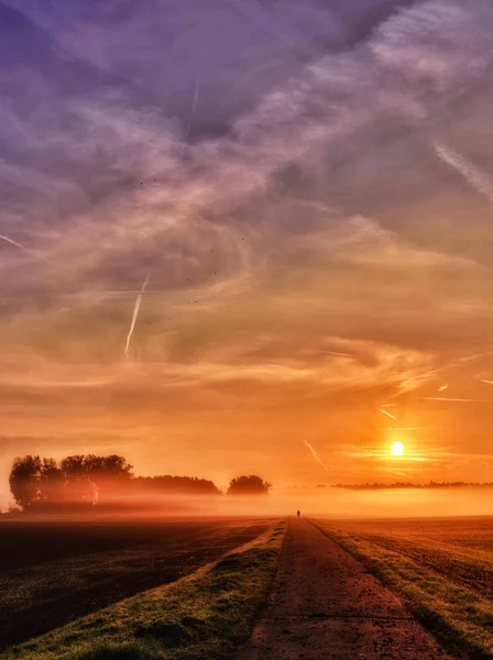 Scenic panoramic path towards the sun on a misty golden autumn morning with a glorious epic sunrise,trees on the horizon,sky ,color painting style,symbolic,future,start,begin,hope,success,way forward