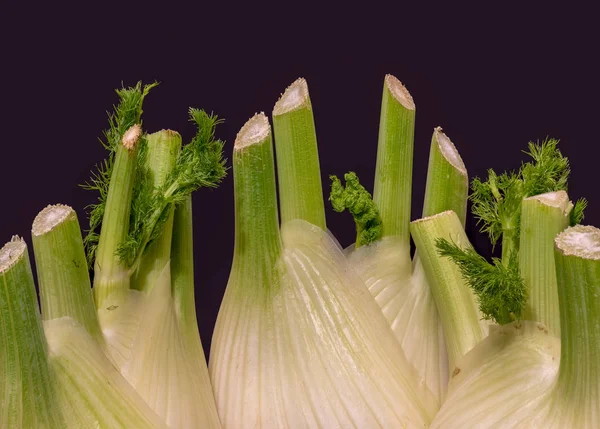 Fine art still life color macro of an isolated bunch of three fennel bulbs with feather green on black paper background