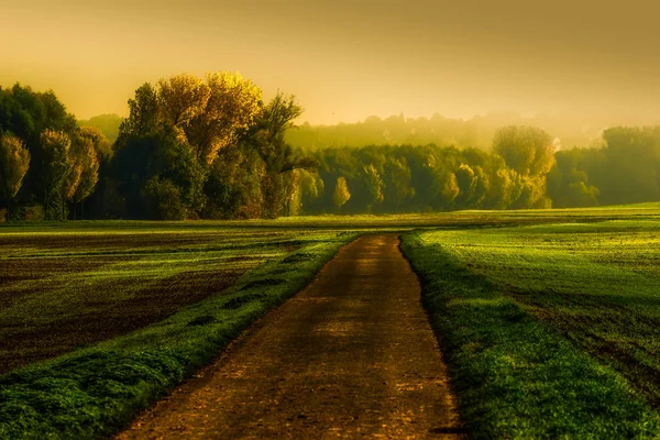 Сельское Изобразительное Искусство Осень Акварель Восход Солнца Мягких Теплых Тонах — стоковое фото