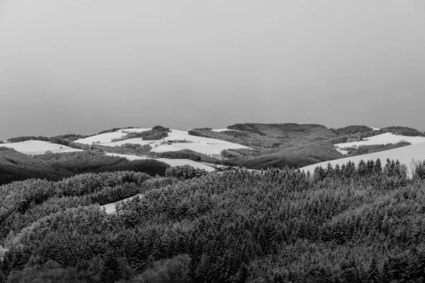 Живописная Монохромная Зимняя Панорама Заснеженной Туманной Сельской Местности Деревьями Лесами — стоковое фото