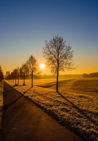 Blu Cielo Luminoso Sole Dorato Scenico Autunno Alba Vicolo Pista — Foto Stock