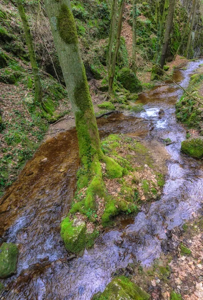 Fine Art Surrealistisk Farverige Udendørs Natur Billede Lille Flod Bæk - Stock-foto