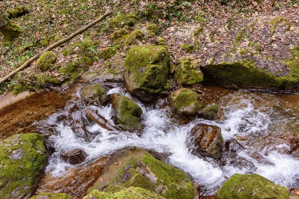 Fine art color outdoor nature image of a small river / creek with wood, mossy stones and rocks, foaming water in a winter forest with foliage and fern on the forest gound