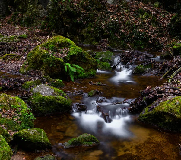 Surreal Color Outdoor Long Exposure Crystal Clear Small Stream Creek — стоковое фото