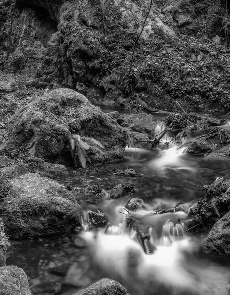 Monochrome Outdoor Long Exposure Crystal Clear Small Stream Creek Winter — стоковое фото