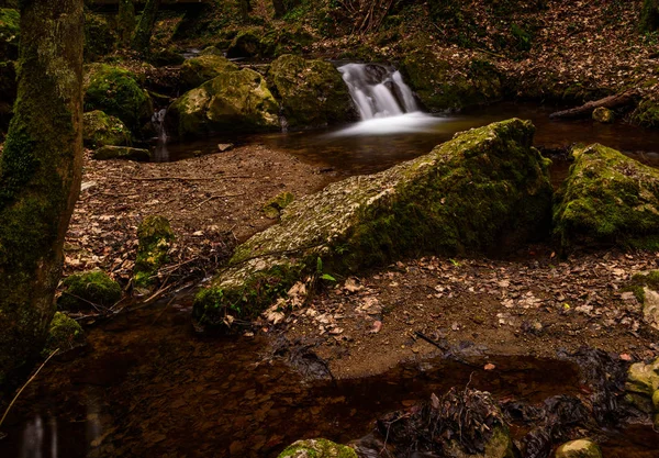 Color Outdoor Long Exposure Small Stream Creek Forest Stones Trees — Stock Photo, Image