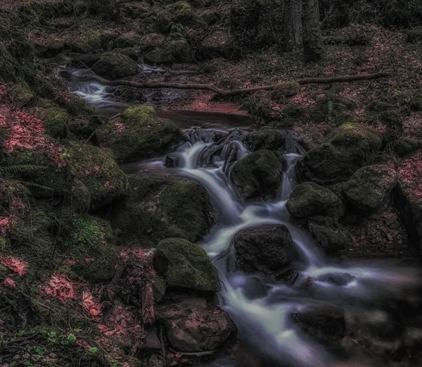 Esterno Scuro Lunga Esposizione Piccolo Ruscello Torrente Una Foresta Buia — Foto Stock