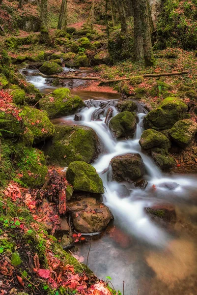 Farbe Freien Langzeitbelichtung Eines Kleinen Baches Baches Einem Dunklen Wald — Stockfoto