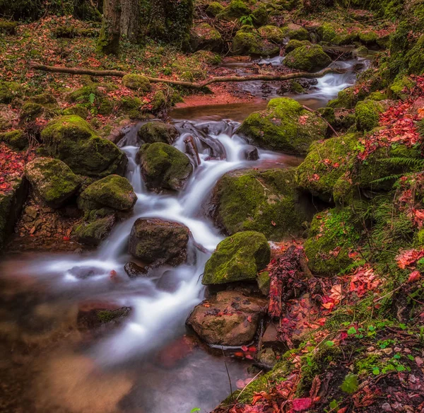 Barevná Venkovní Dlouhé Expozice Malého Potůčku Creek Temném Lese Vodopád — Stock fotografie