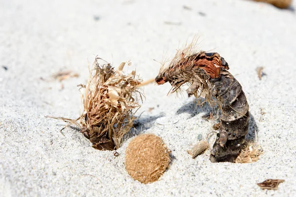 Grappige Figuren Gebouwd Van Strandede Goederen Een Zandstrand Een Heldere — Stockfoto