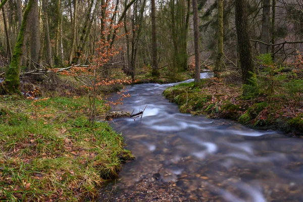 Color Outdoor Long Exposure Small Stream Creek Forest Roots Fallen — Stock Photo, Image