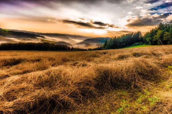 Mglisty Kolor Panoramiczne Scenic Wschód Złoty Nad Countryside Krajobraz Pola — Zdjęcie stockowe