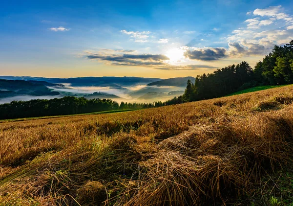 Mglisty Scenic Wschód Chwalebne Pola Hill Błękitne Niebo Chmura Panorama — Zdjęcie stockowe