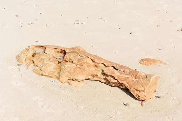 Color outdoor image of a single isolated stranded piece of wood stranded on a fine white sand beach near Cape Town, South Africa, taken on a sunny bright day