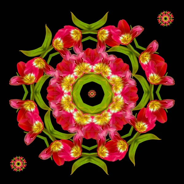 Образотворче Мистецтво Квітковий Декоративний Геометричний Кольоровий Візерунок Бароко Мандала Орнамент — стокове фото