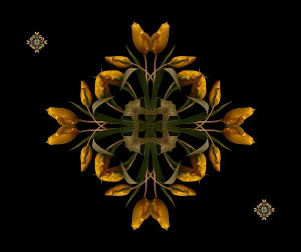 在复古绘画风格的黑色背景上 黄色绿色郁金香的宏 制成的精美的花卉装饰和对称的色彩图案 — 图库照片