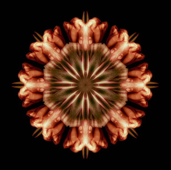 Fine Art Floral Decoratieve Geometrische Symmetrische Kleur Patroon Ornament Mandala — Stockfoto