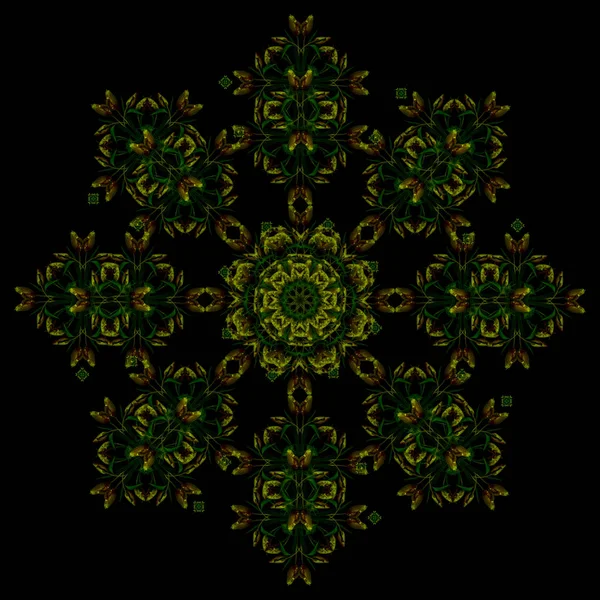 Fine Art Floral Decorative Symmetrical Fractal Color Pattern Made Macros — Stock Photo, Image