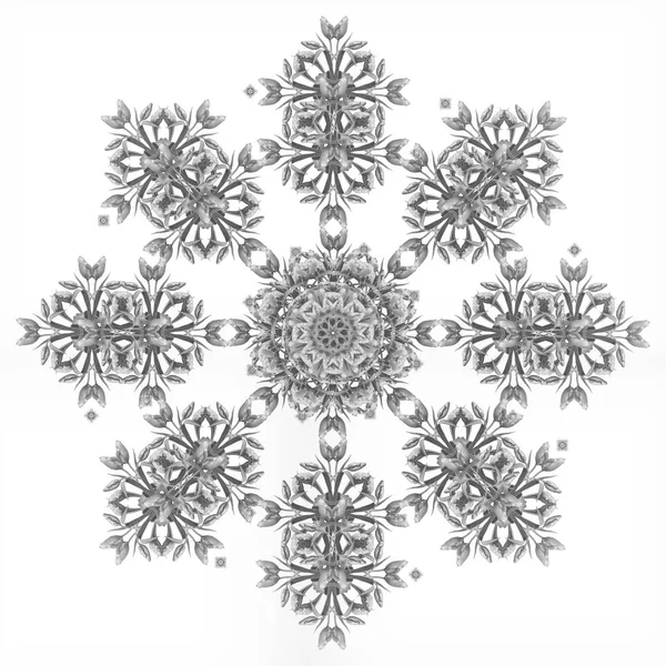 Bellas Artes Floral Monocromo Patrón Fractal Decorativo Simétrico Hecho Macros — Foto de Stock