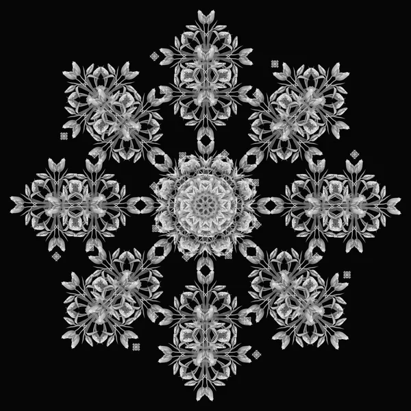 美术花卉单色装饰和对称分形图案由郁金香的宏在黑色背景上的复古绘画风格 — 图库照片