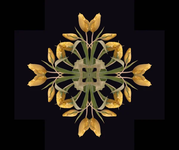 在复古绘画风格的黑色背景上 黄色绿色郁金香的宏 制成的精美的花卉装饰和对称的色彩图案 — 图库照片